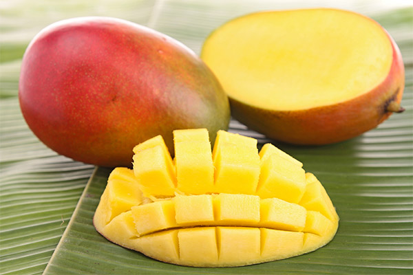 Mango ieguvumi un kaitējums