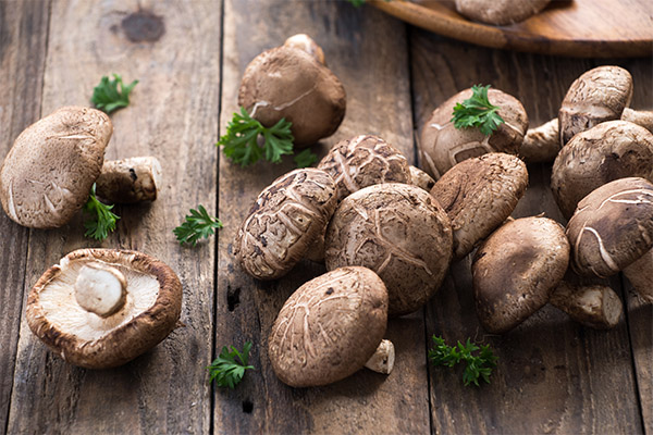 Beneficiile și daunele Shiitake