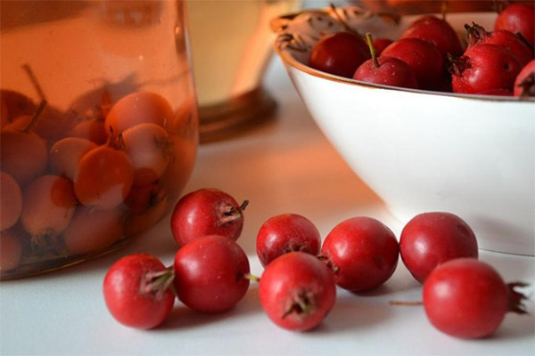 Recipes of folk medicine based on hawthorn