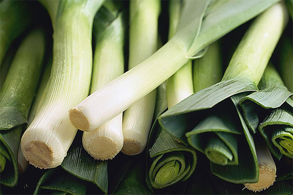 Leek-based folk medicine recipes