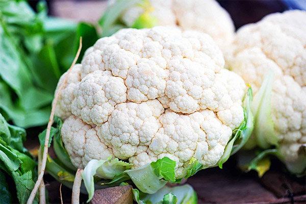 Recipes of folk medicine with cauliflower