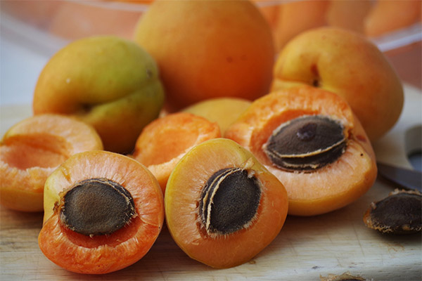 Apricot kernels in cookery