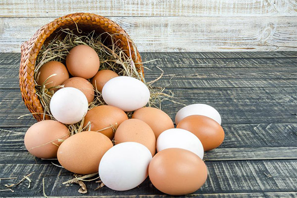 White and brown eggs