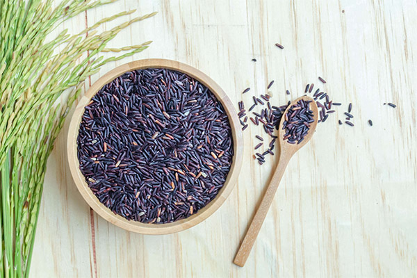 Black Rice for Medicine