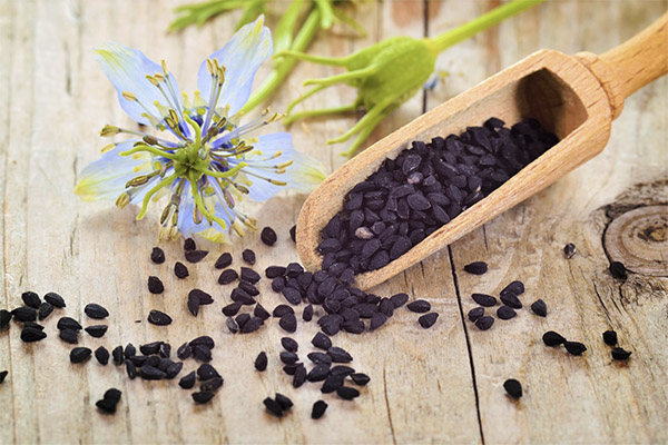 Black cumin in medicine