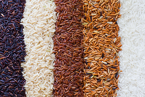 Interesting Rice Facts