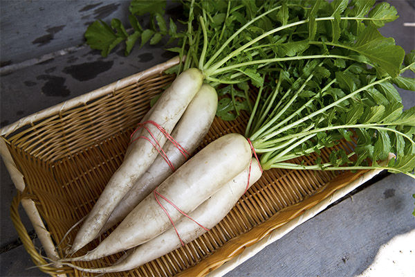 Πώς να διαλέξετε και να αποθηκεύσετε το Daikon