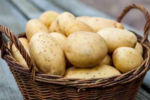 How to choose and store potatoes