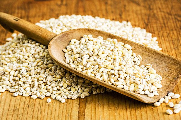 How to choose and store pearl millet