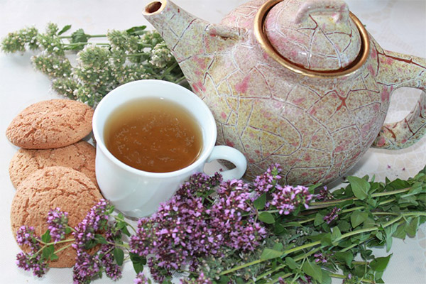 How to brew tea with oregano