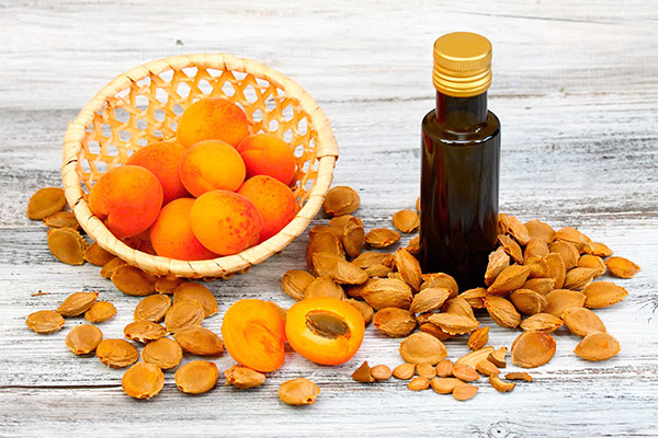 Apricot Oil