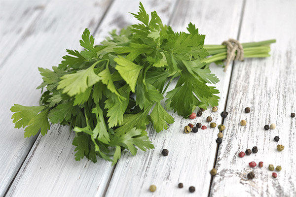 Parsley in medicine