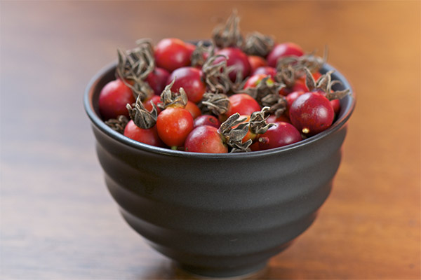 Useful properties of rose hips