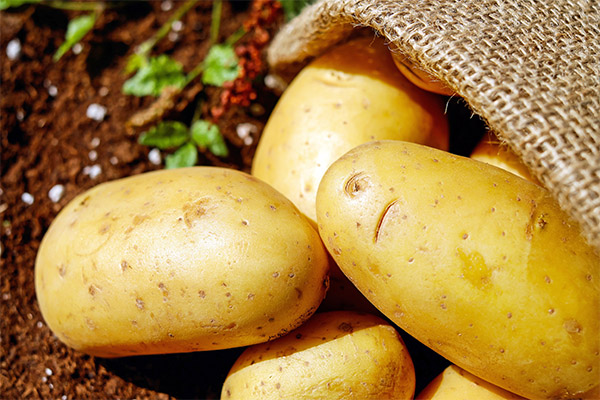 Recipes of folk medicine based on potatoes