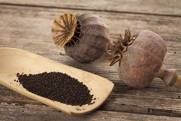 Recipes of folk medicine based on poppy seeds