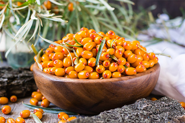 Tradicionālās medicīnas receptes, kuru pamatā ir smiltsērkšķi