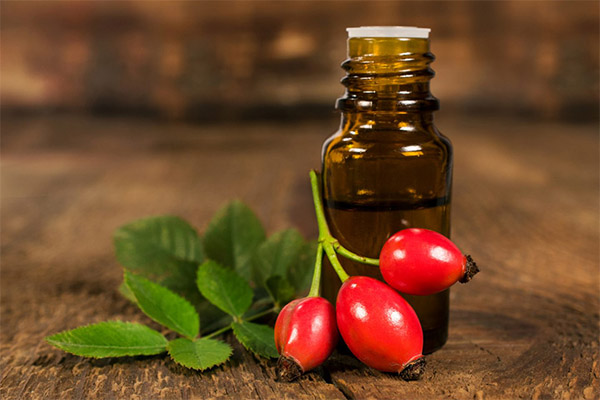 Recipes of folk medicine based on rose hips