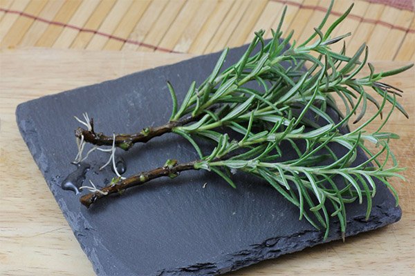 Rosemary in Cooking