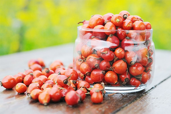 Rose hips in cosmetology