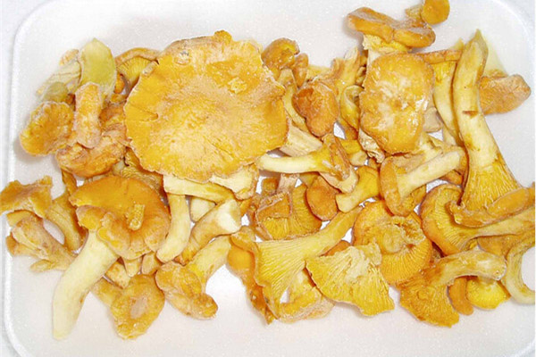 Chanterelles congelate