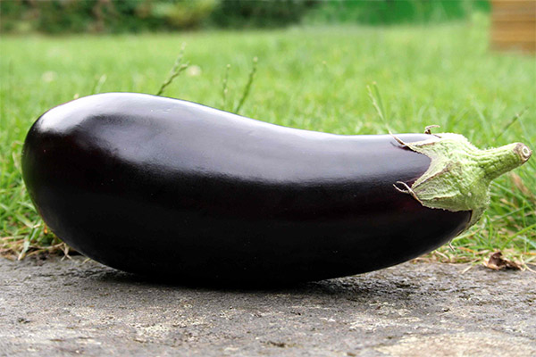 Aubergine în medicină