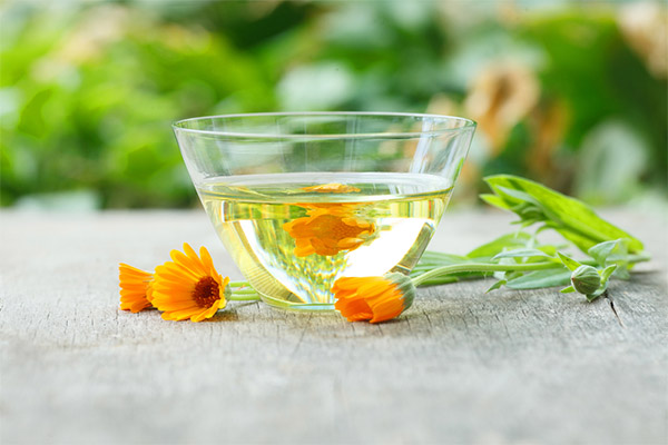 Calendula Tea in Medicine