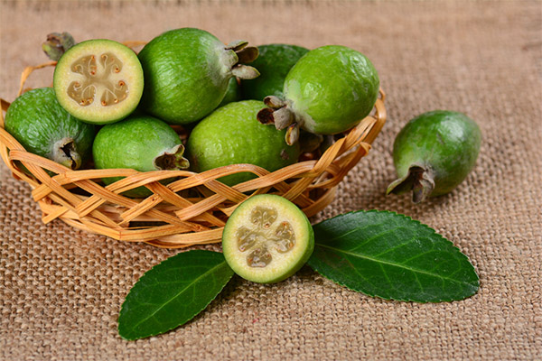 Feijoa medicinoje