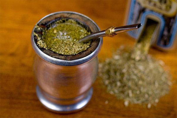 Ενδιαφέροντα γεγονότα για το yerba mate