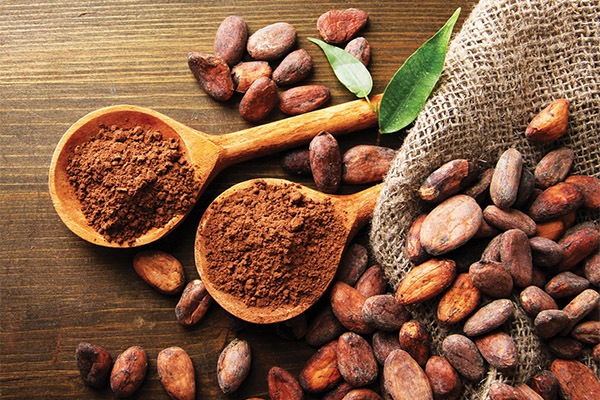 Faits sur le cacao