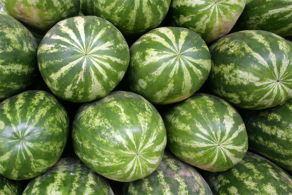 Interesting facts about watermelon