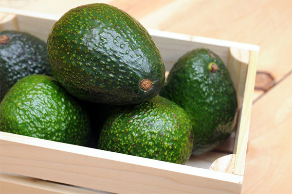 How to Store Avocados