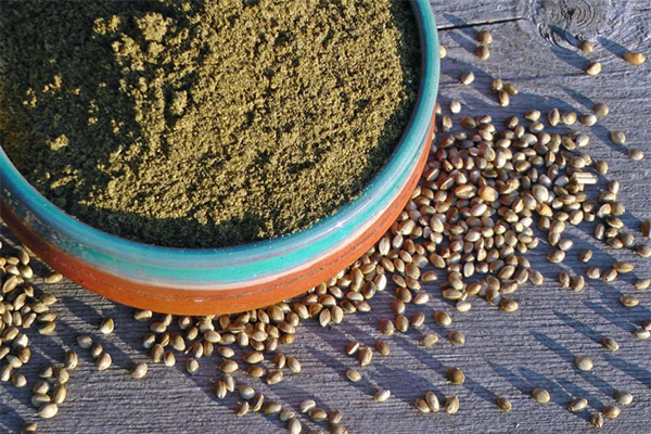 How to take hemp flour