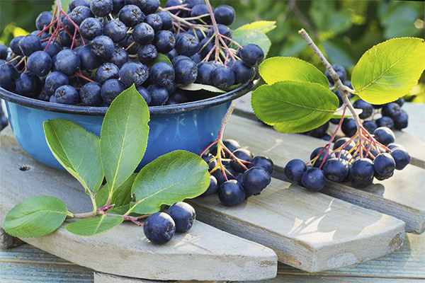 Cum să alegeți și să depozitați Blackthorn fructe de padure