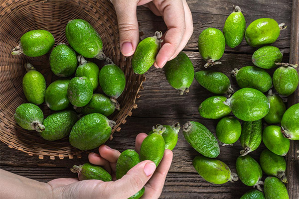 Kā izvēlēties un uzglabāt Feijoa