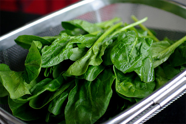 How to choose and store spinach