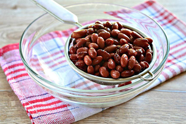 Canned Beans in Medicine