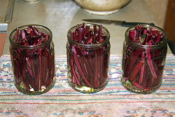 Pickled Chard Cuttings