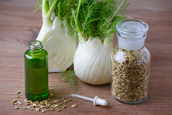 Fennel Oil