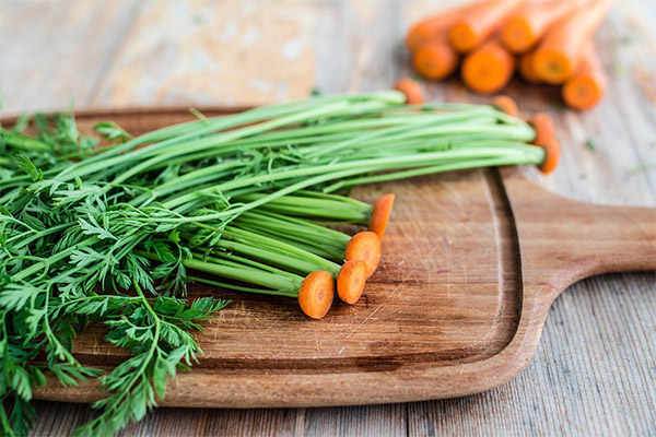 Carrot tops in cooking