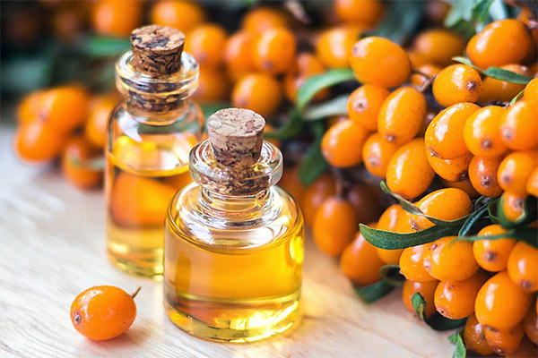 Sea Buckthorn Oil in cooking