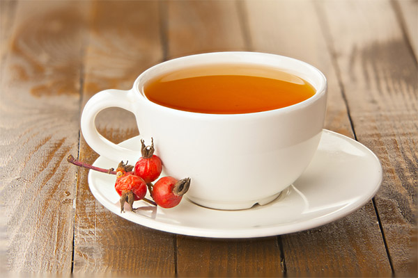 Rosehip decoction in medicine