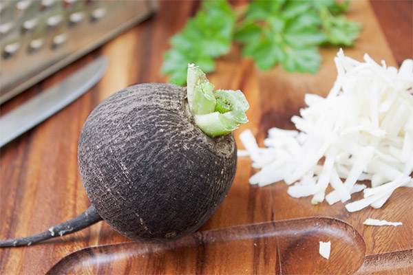 Useful properties of black radish