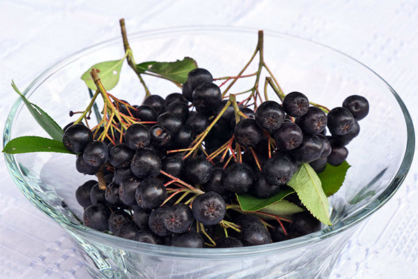 Useful properties of black rowan