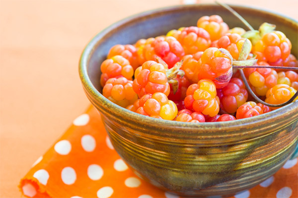 Useful properties of cloudberry