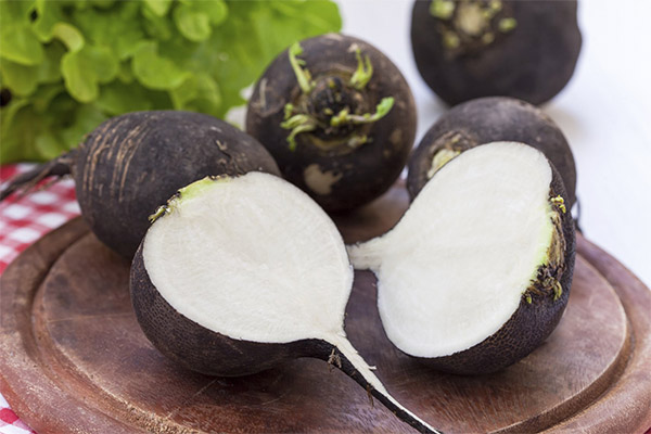 Benefits and harms of black radish