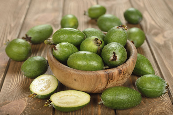 Τα οφέλη και οι βλάβες της feijoa