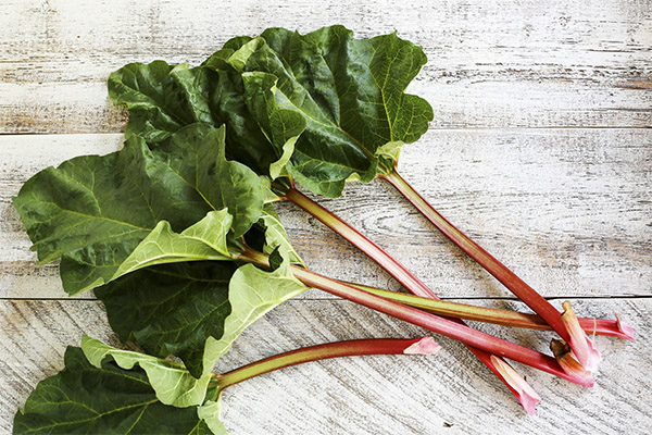 Rhubarb in cosmetology