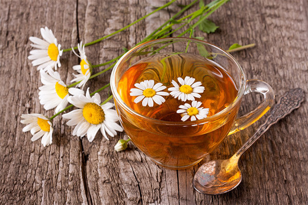 Chamomile Tea in Medicine