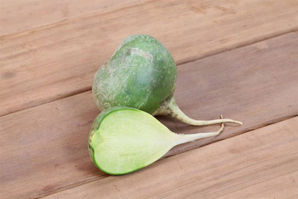 Green radish in medicine