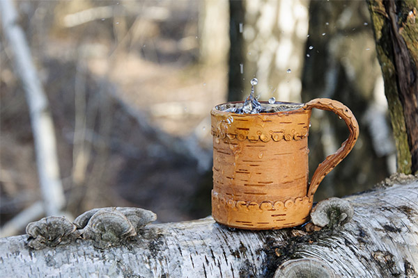 Birch Sap στην ιατρική